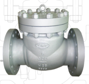 check-valve